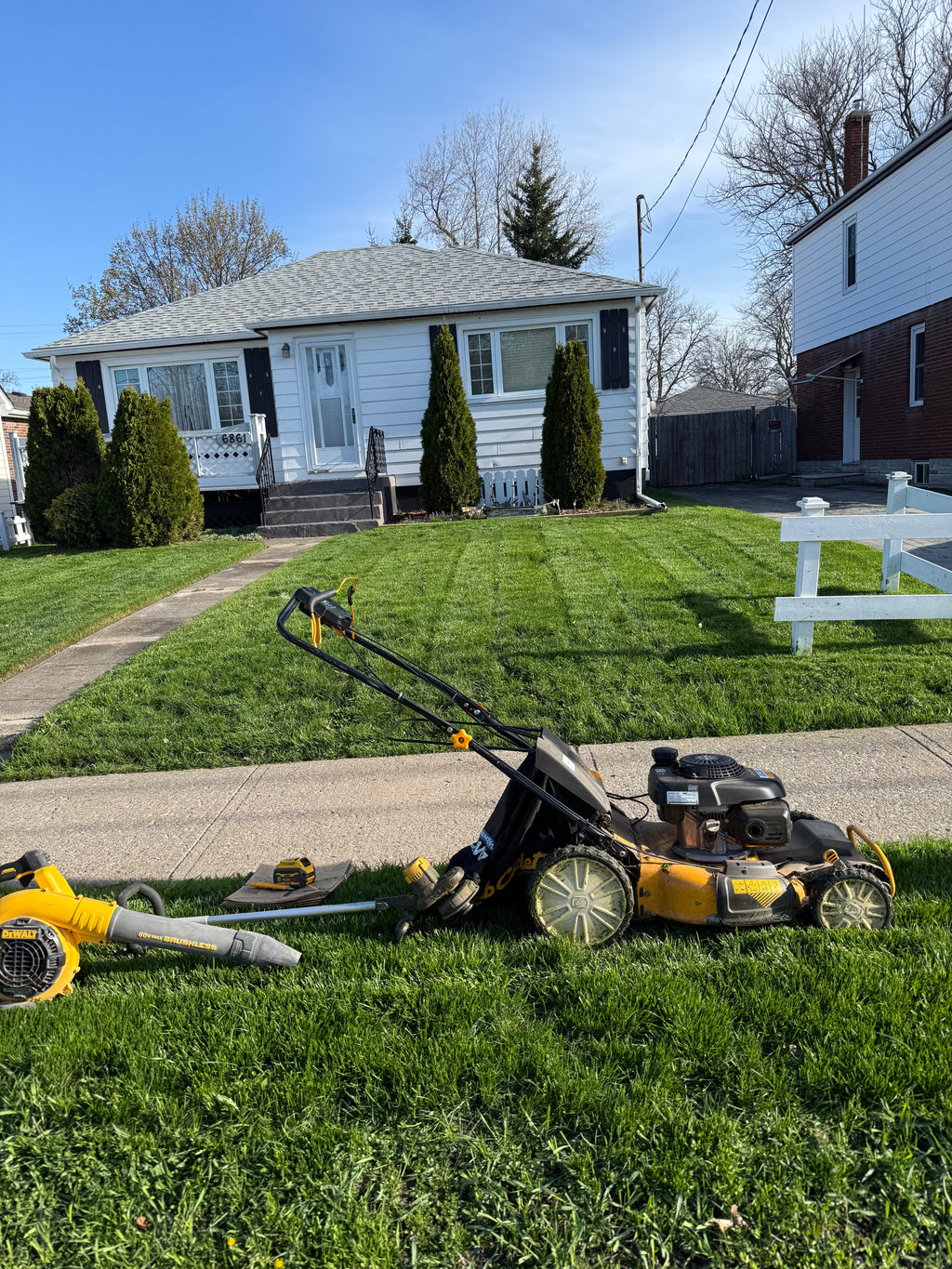 Lawn Maintainence