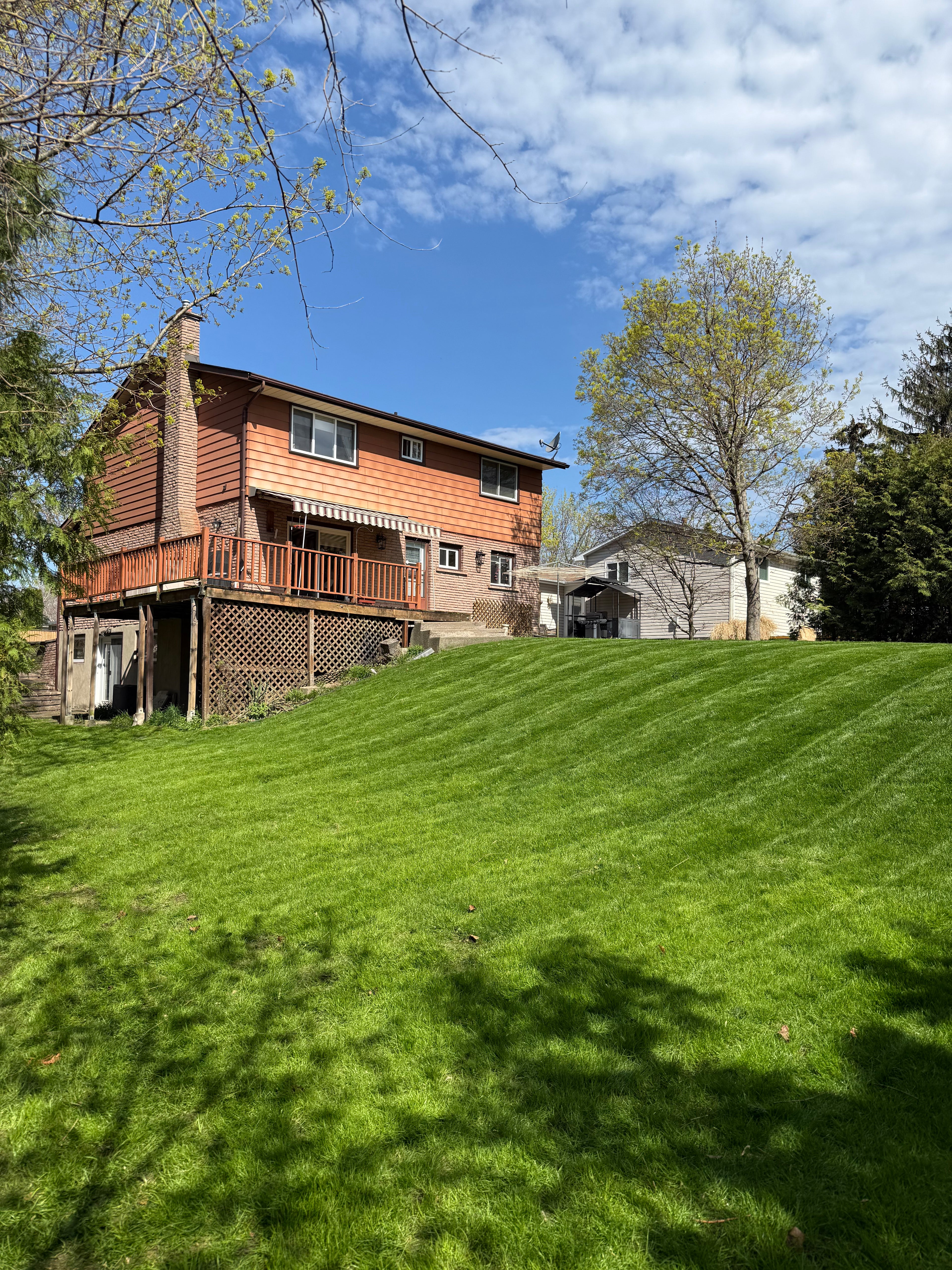 Lawn Maintainence