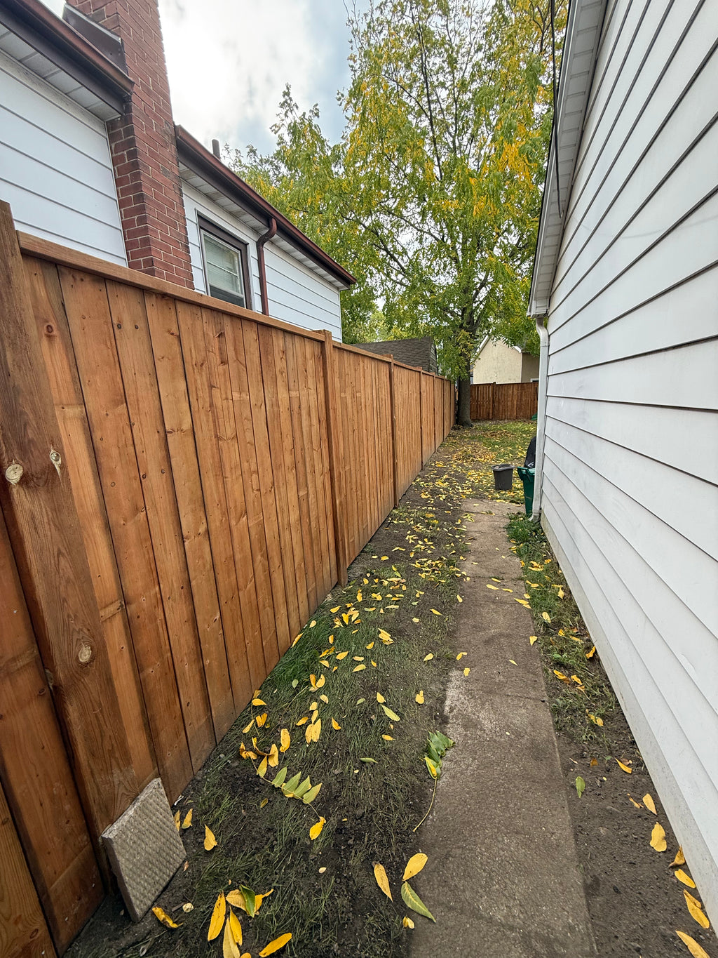 Decks & Fences