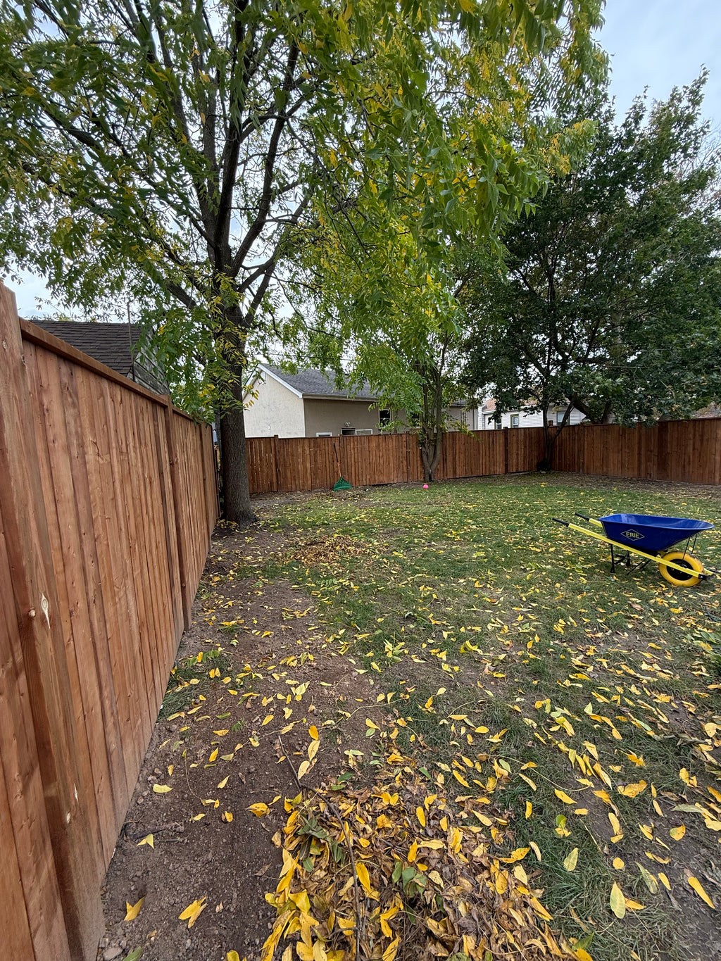 Decks & Fences