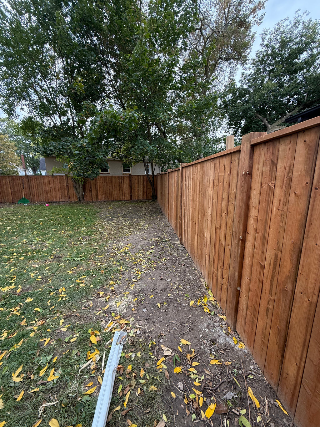 Decks & Fences